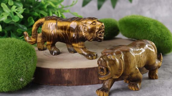 Tiger Eye Tiger