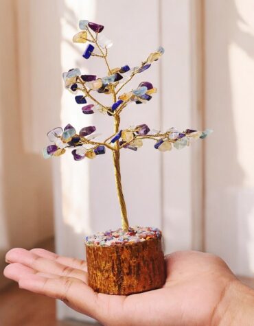 Education Tree