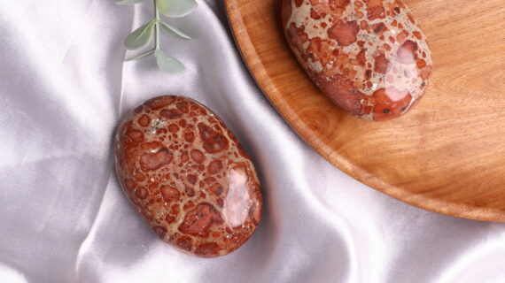 Asteroid Jasper Palm Stone