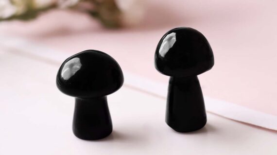 Black Obsidian Mushroom