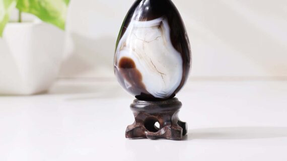 Black Sulemani Egg