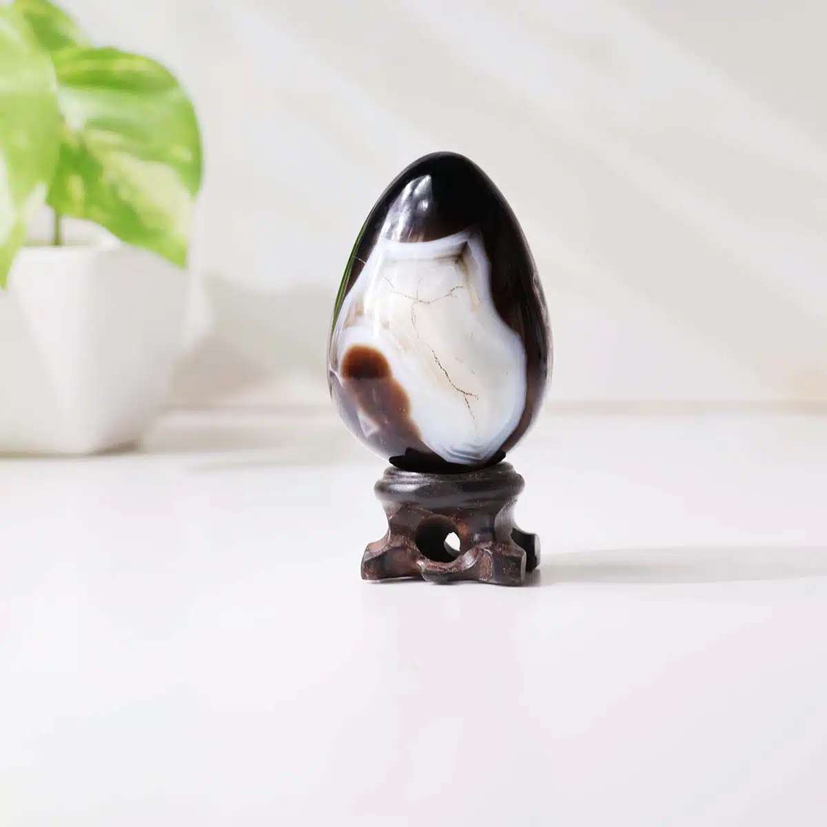 black-sulemani-egg (1) black-sulemani-egg