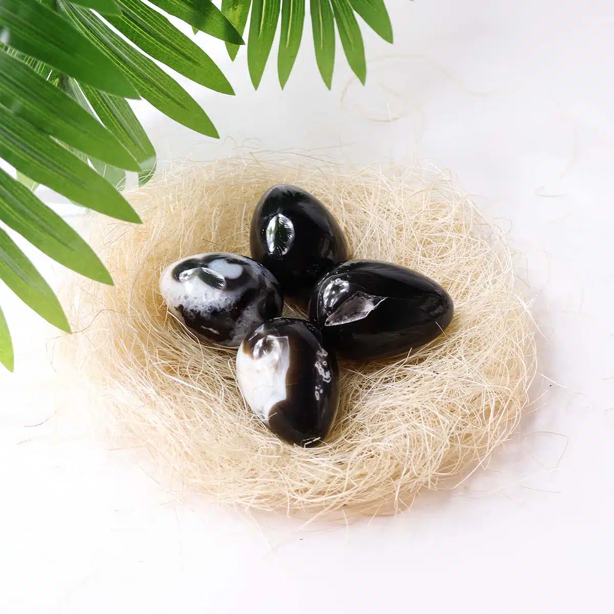 black-sulemani-egg (4) black-sulemani-egg