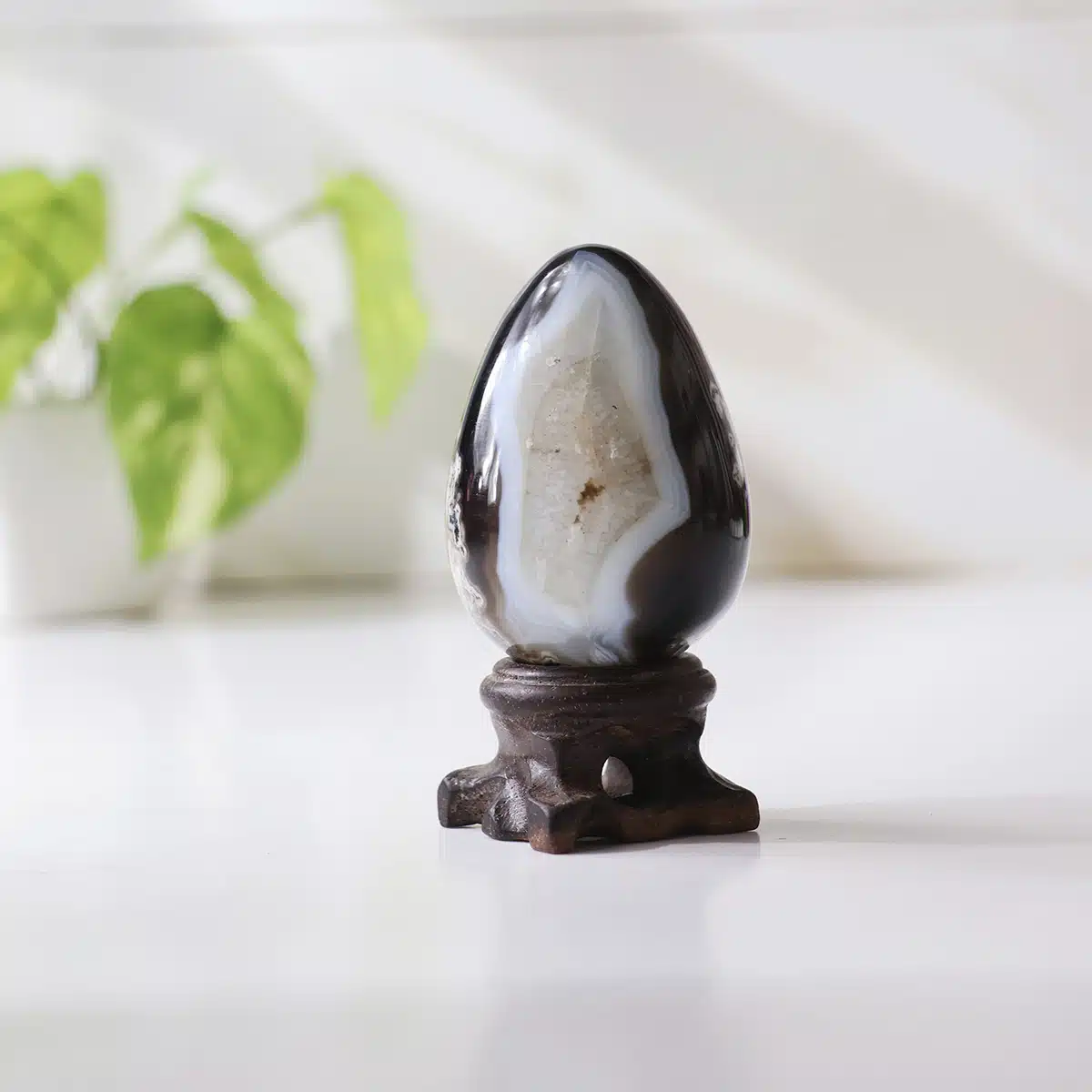 black-sulemani-egg (6)