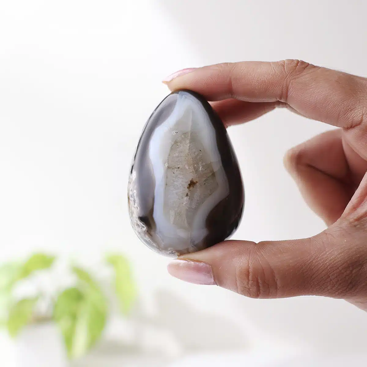 black-sulemani-egg (7)