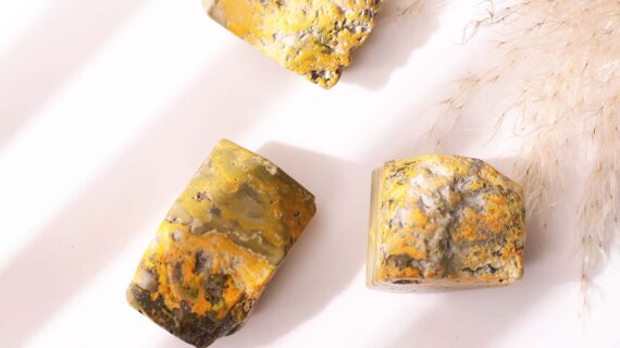 Bumble Bee Jasper Free Form
