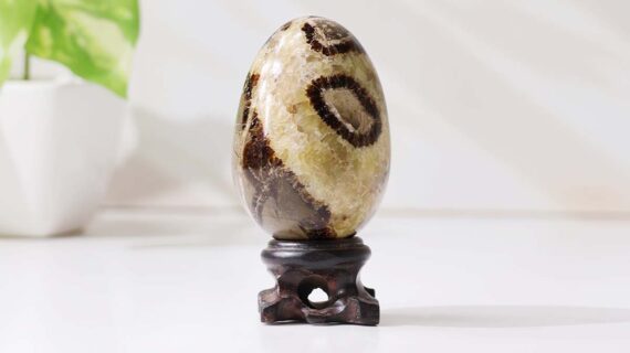 Septarian Egg
