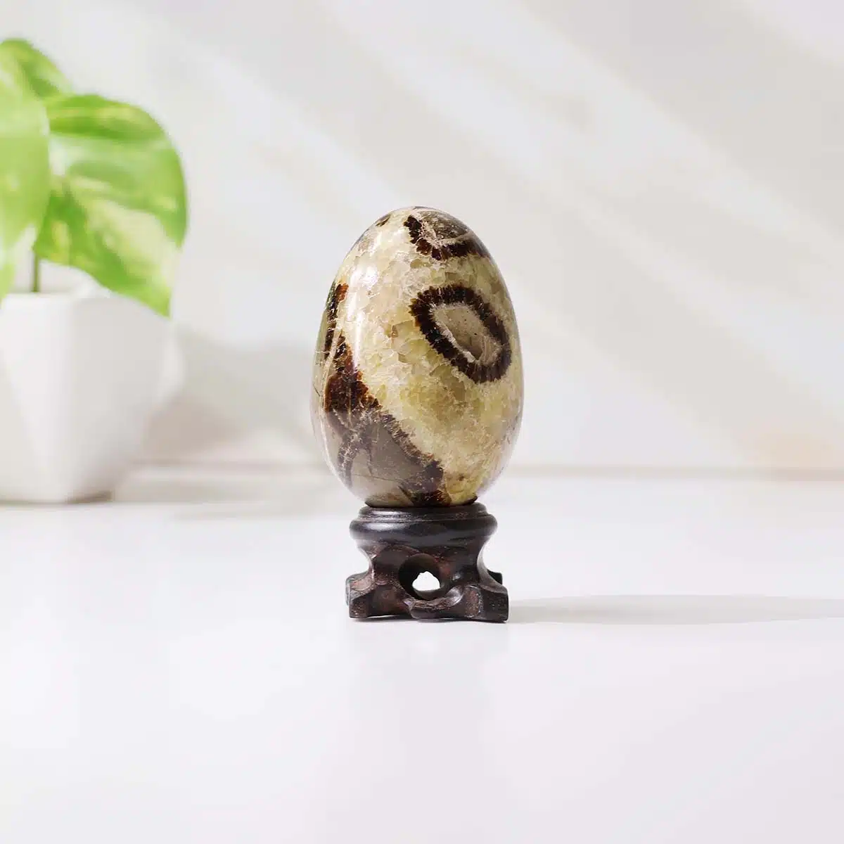 septarian-egg (1) septarian-egg