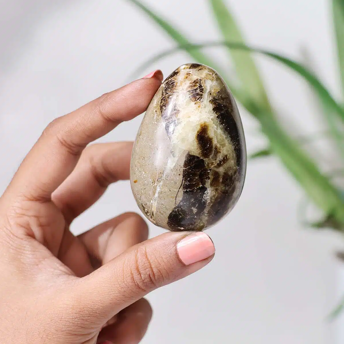 septarian-egg (2) septarian-egg