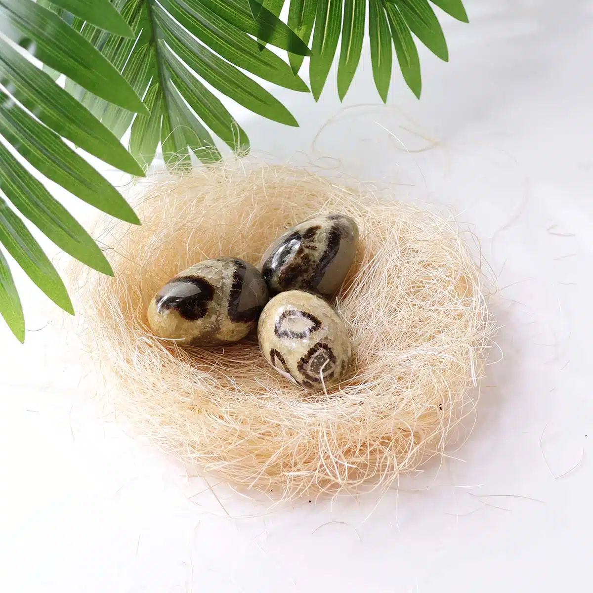 septarian-egg (3) septarian-egg