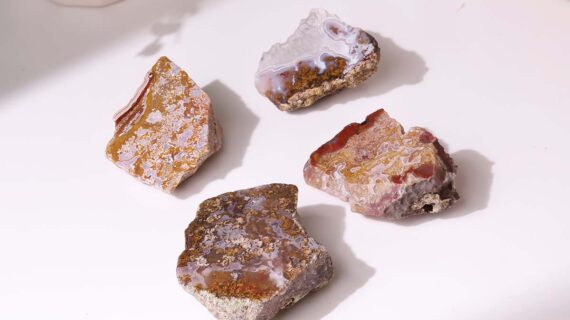 Agua Nueva Red Moss Agate