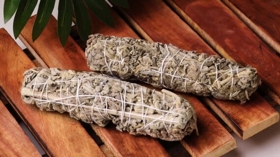 Indian Sage