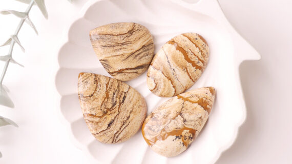 Picture Jasper Cabochon