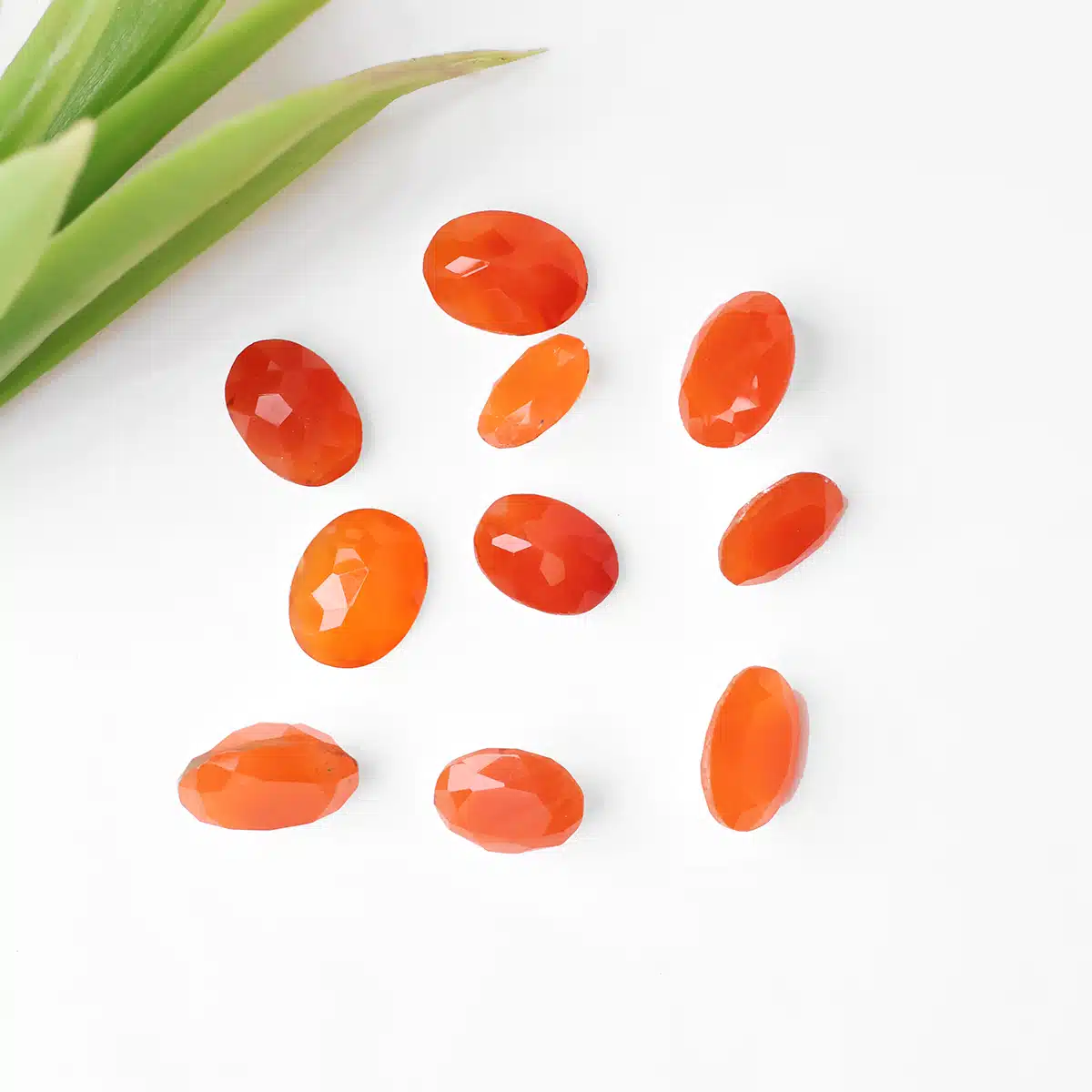 red-carnelian-faceted-cabochon (3)