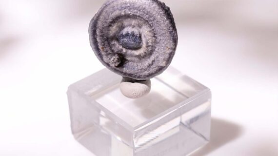 Chalcedony Rosettes