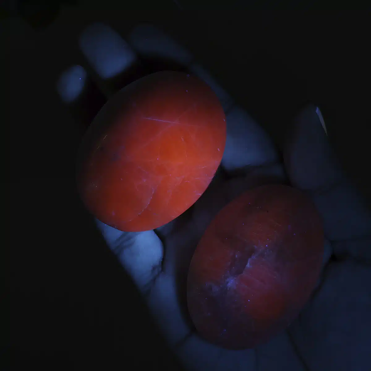 fluorescent-agate-palm-stone (8)