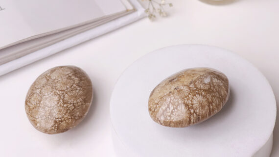 Fossil Jasper Palm Stone