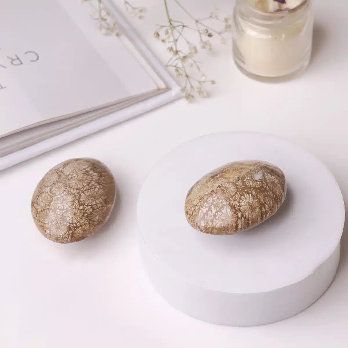 fossil-jasper-palm-stone (1)