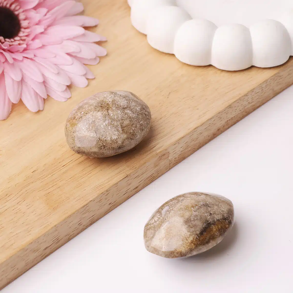 fossil-jasper-palm-stone (2)