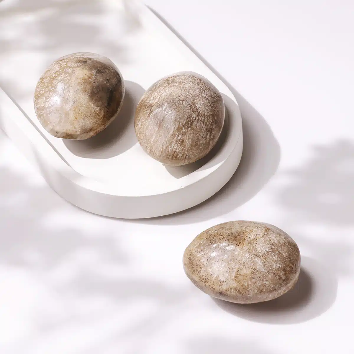 fossil-jasper-palm-stone (3)