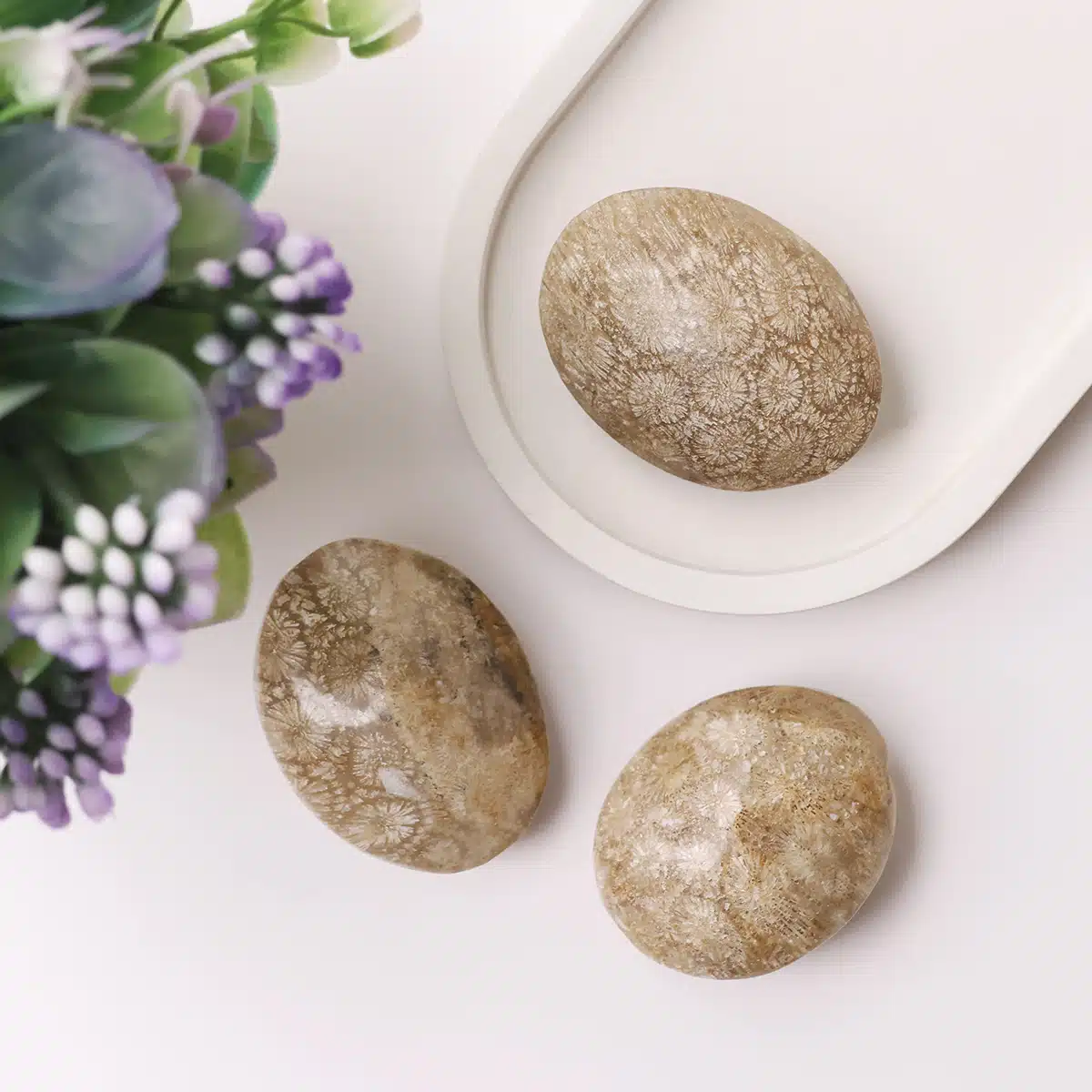 fossil-jasper-palm-stone (4)