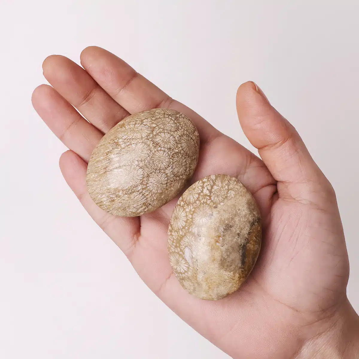 fossil-jasper-palm-stone (5)