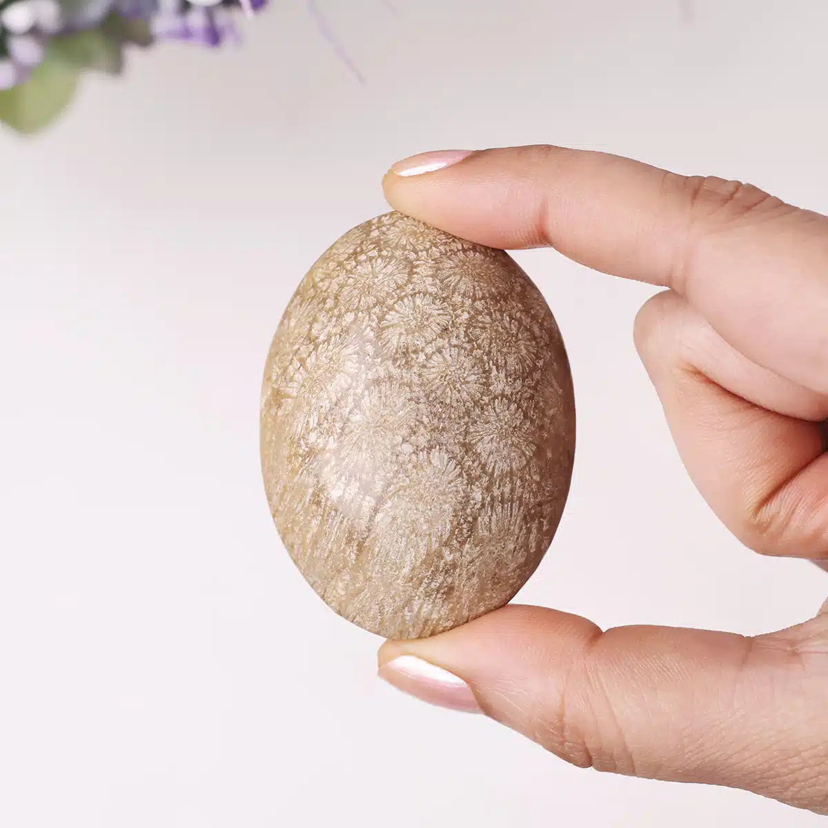 fossil-jasper-palm-stone (6)