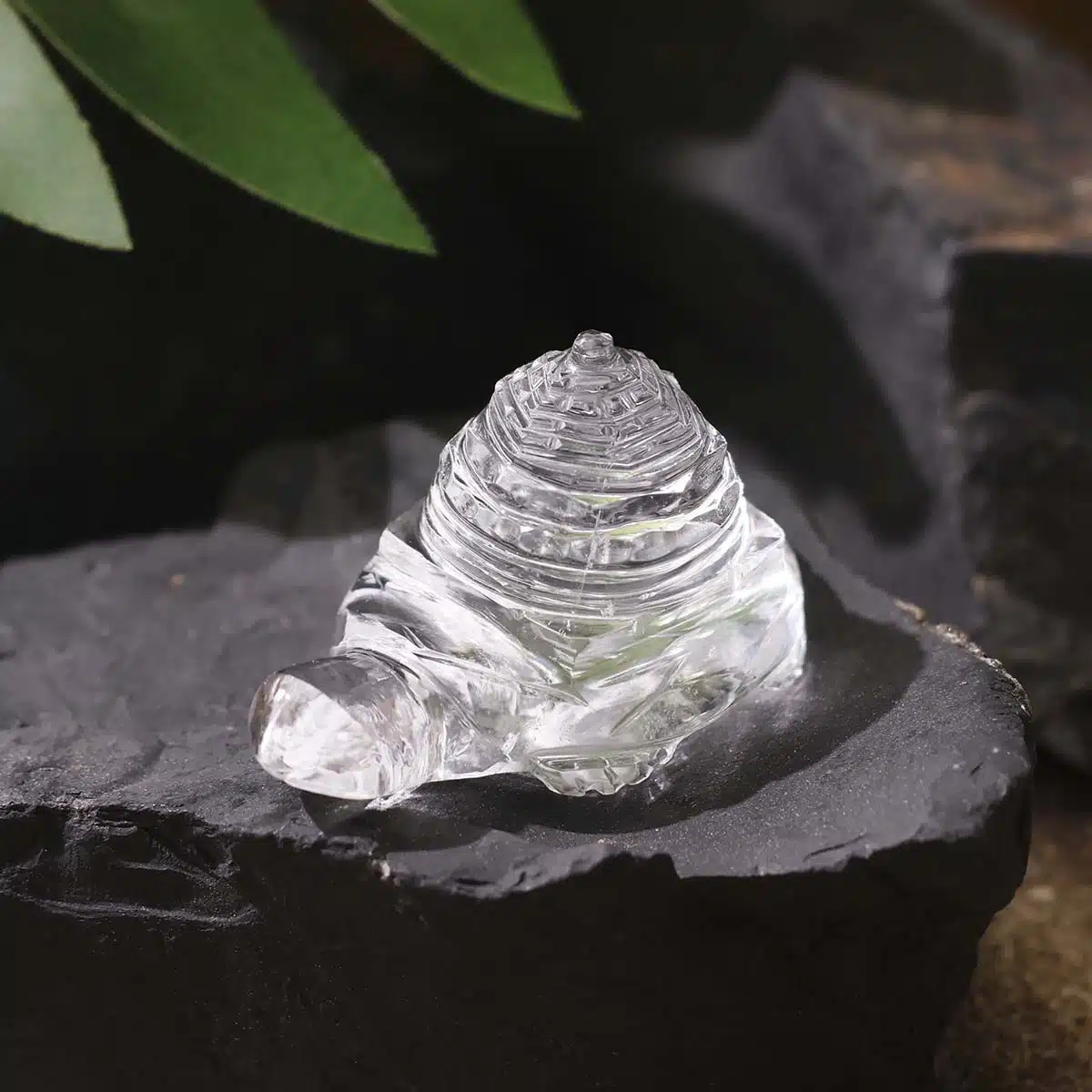 sphatik-turtle-with-shree-yantra (2)