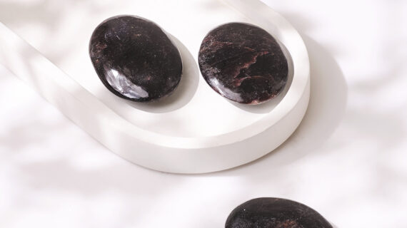 Star Garnet Palm Stone