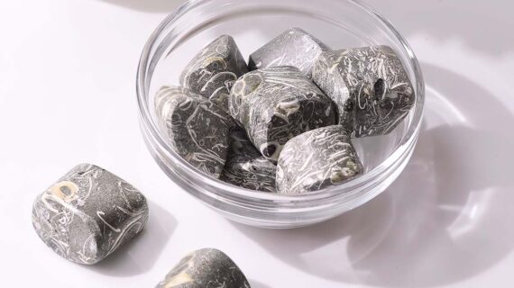 Turritella Agate Tumble Stone