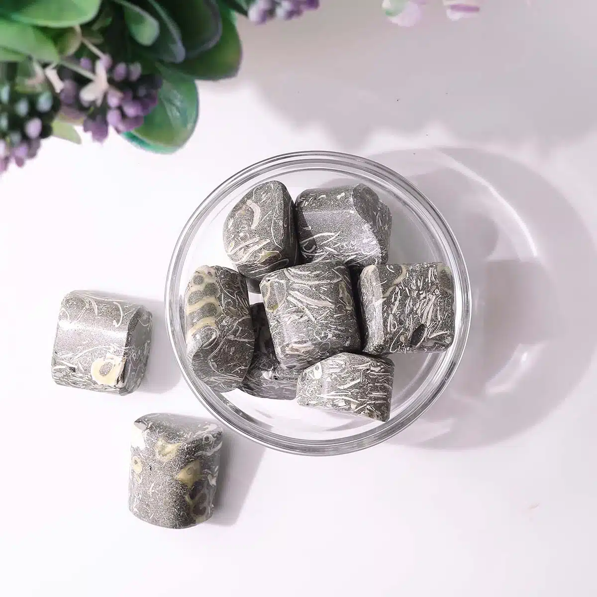 turritella-agate-tumble-stone (2)