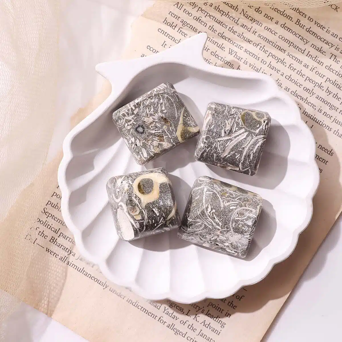 turritella-agate-tumble-stone (3)