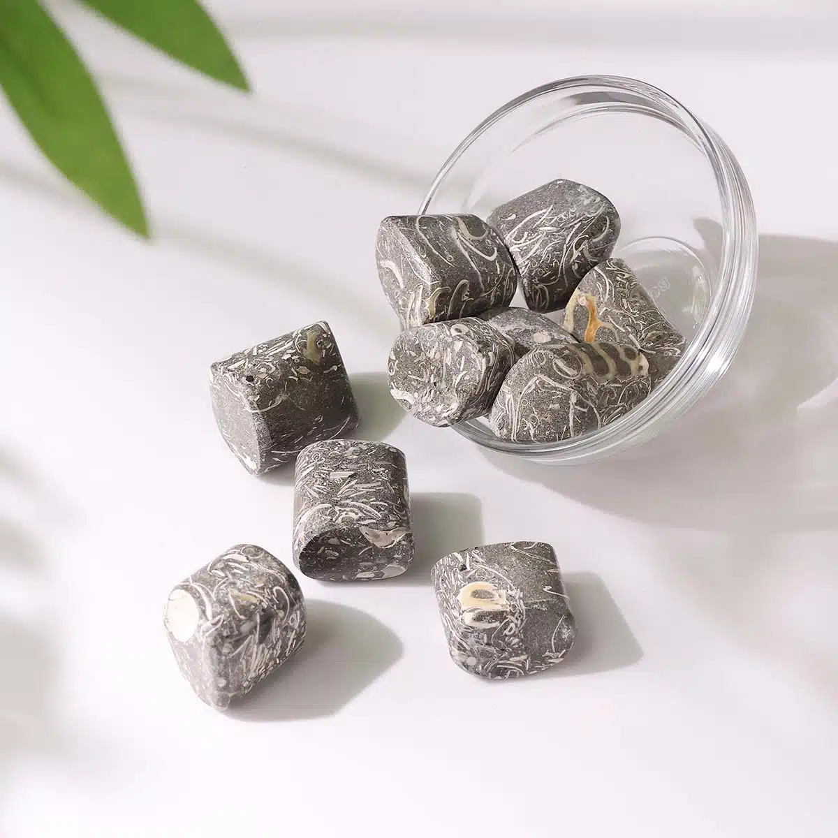 turritella-agate-tumble-stone (4)