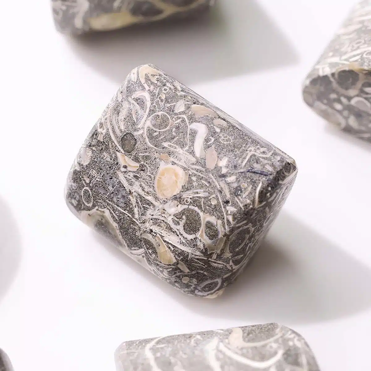 turritella-agate-tumble-stone (5)