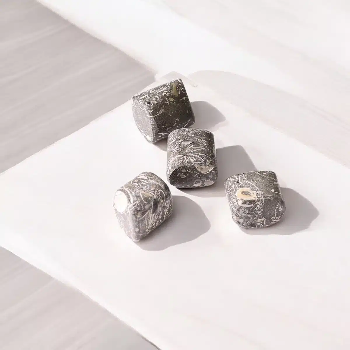 turritella-agate-tumble-stone (7)