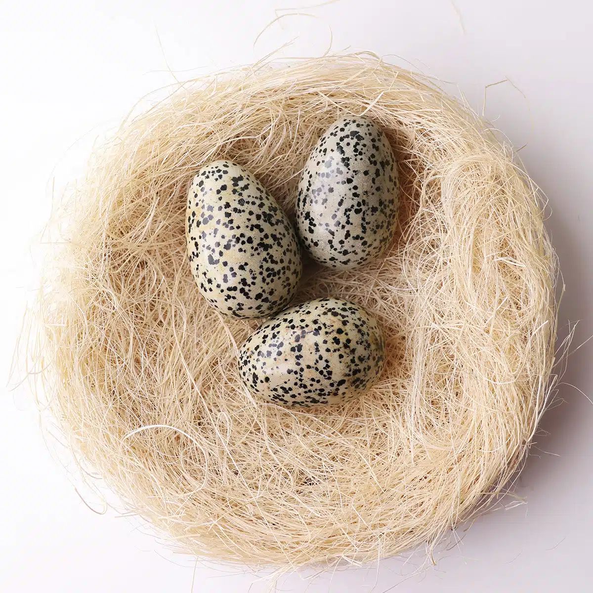 dalmatian-jasper-egg (1)