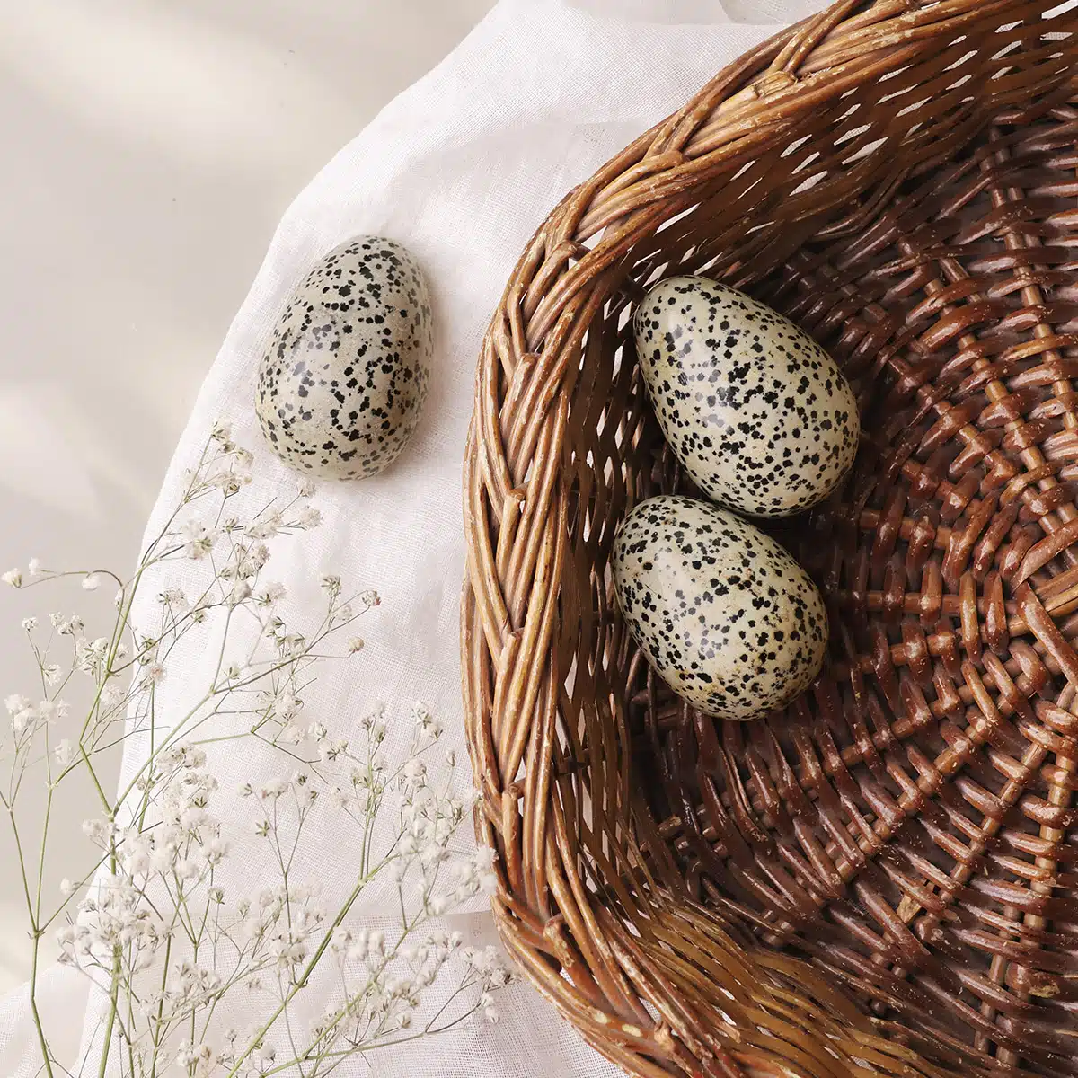 dalmatian-jasper-egg (2)