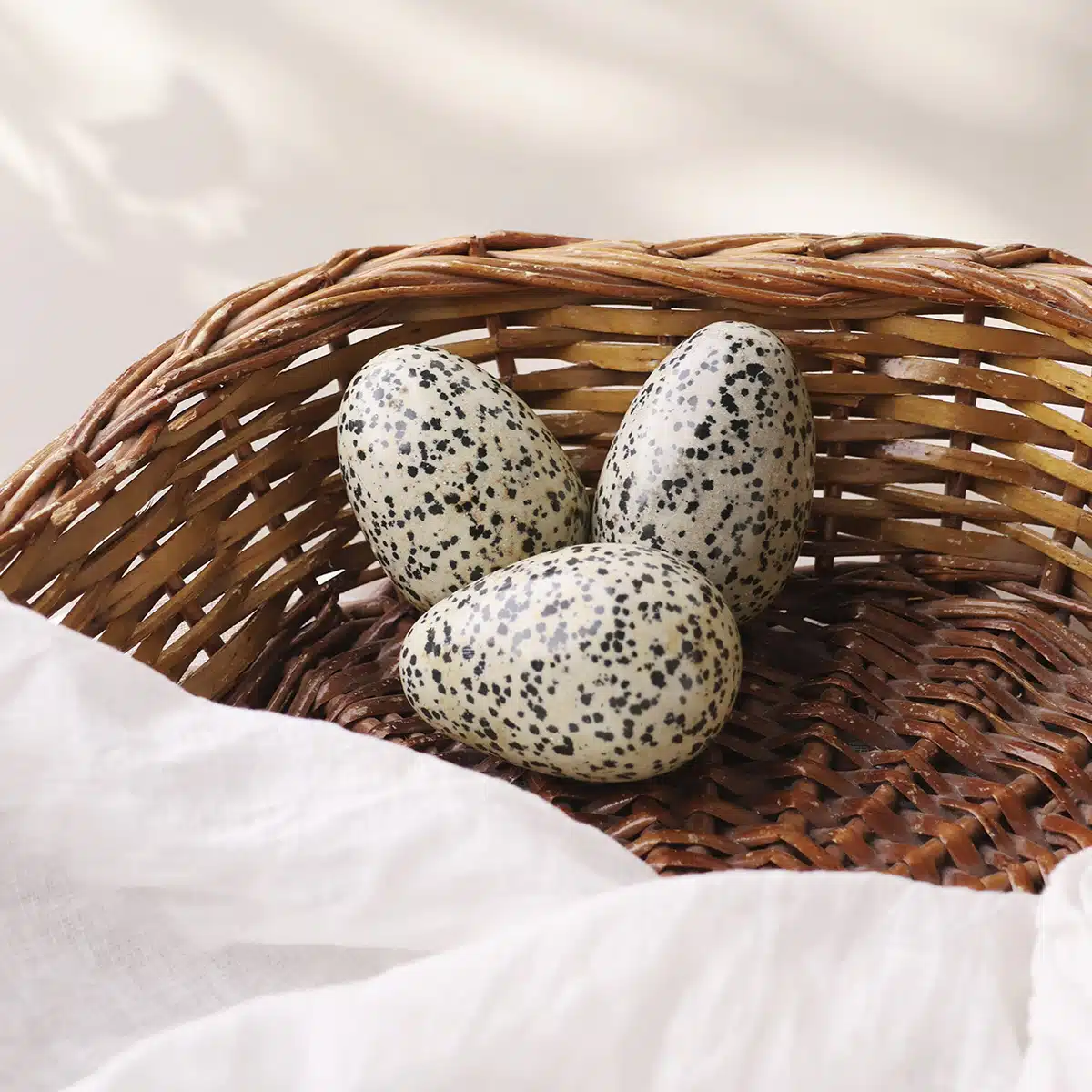 dalmatian-jasper-egg (3)