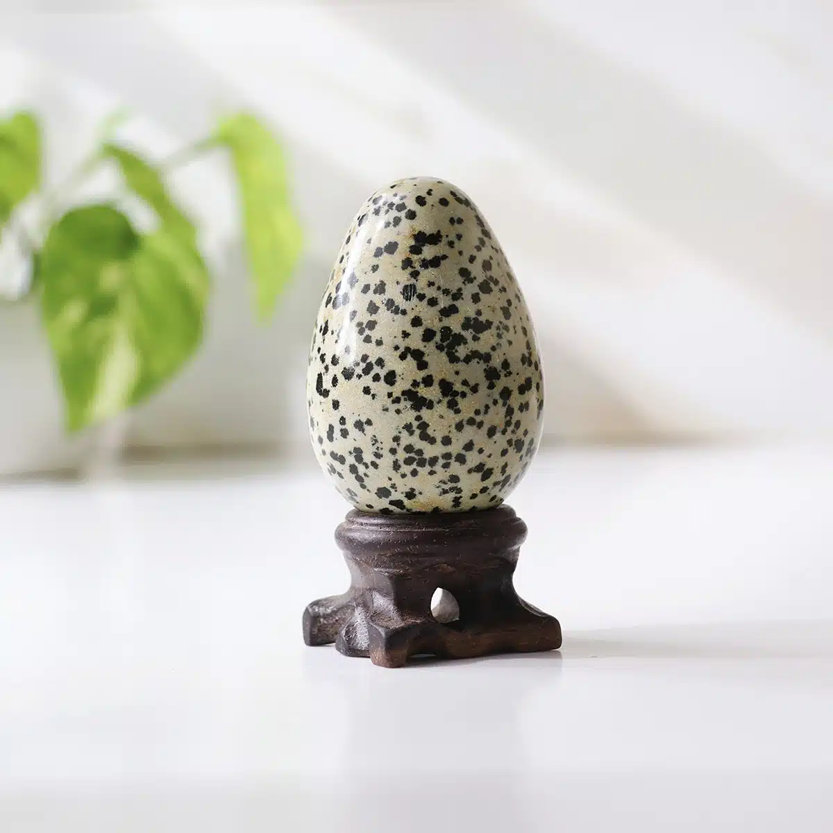 dalmatian-jasper-egg (4)