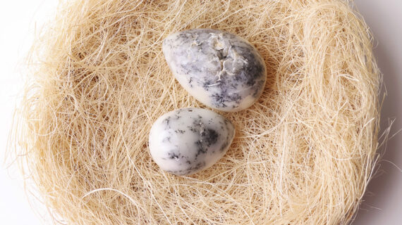 Dendrite Opal Egg