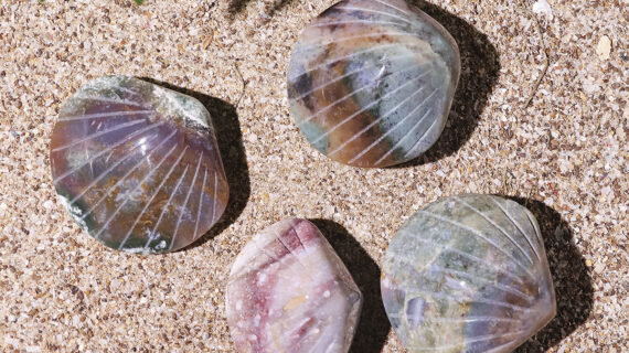 Ocean Jasper Shell