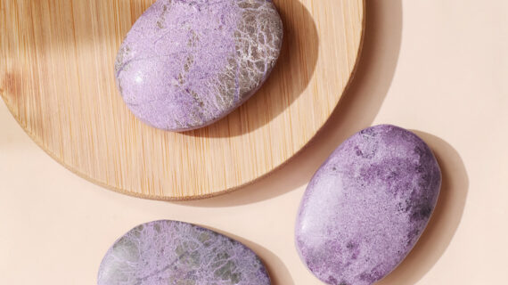 Stichtite Palm Stone