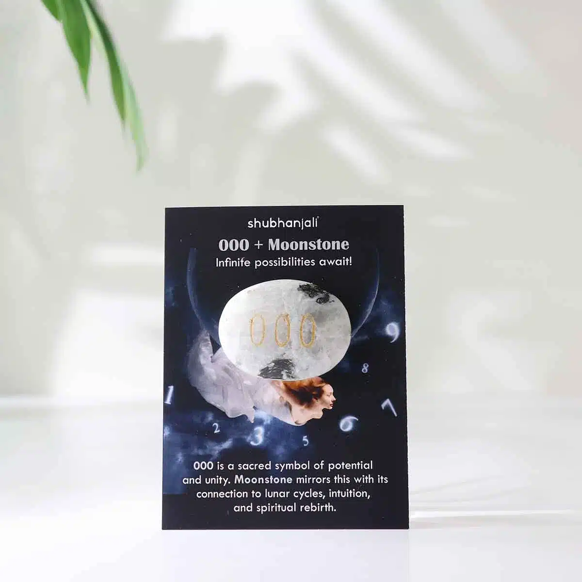 angel-numbers-switch-oval (24)