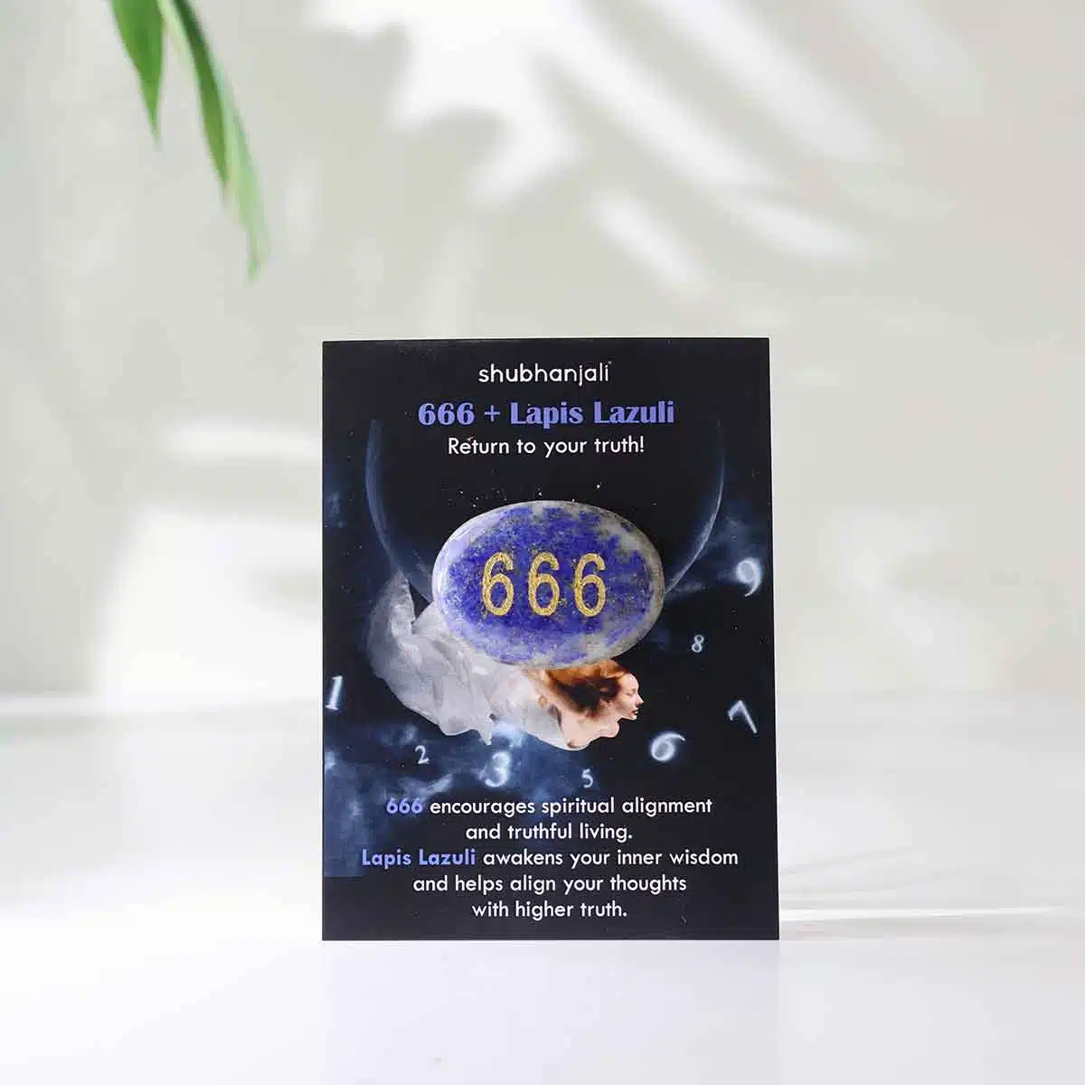 angel-numbers-switch-oval (28)