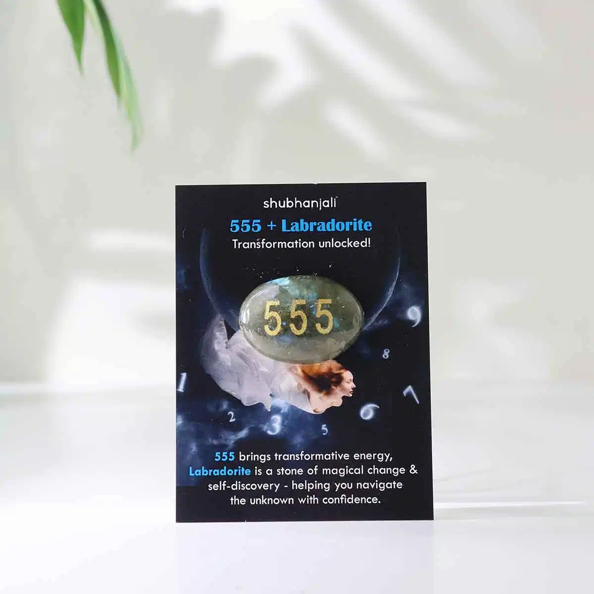 angel-numbers-switch-oval (29)