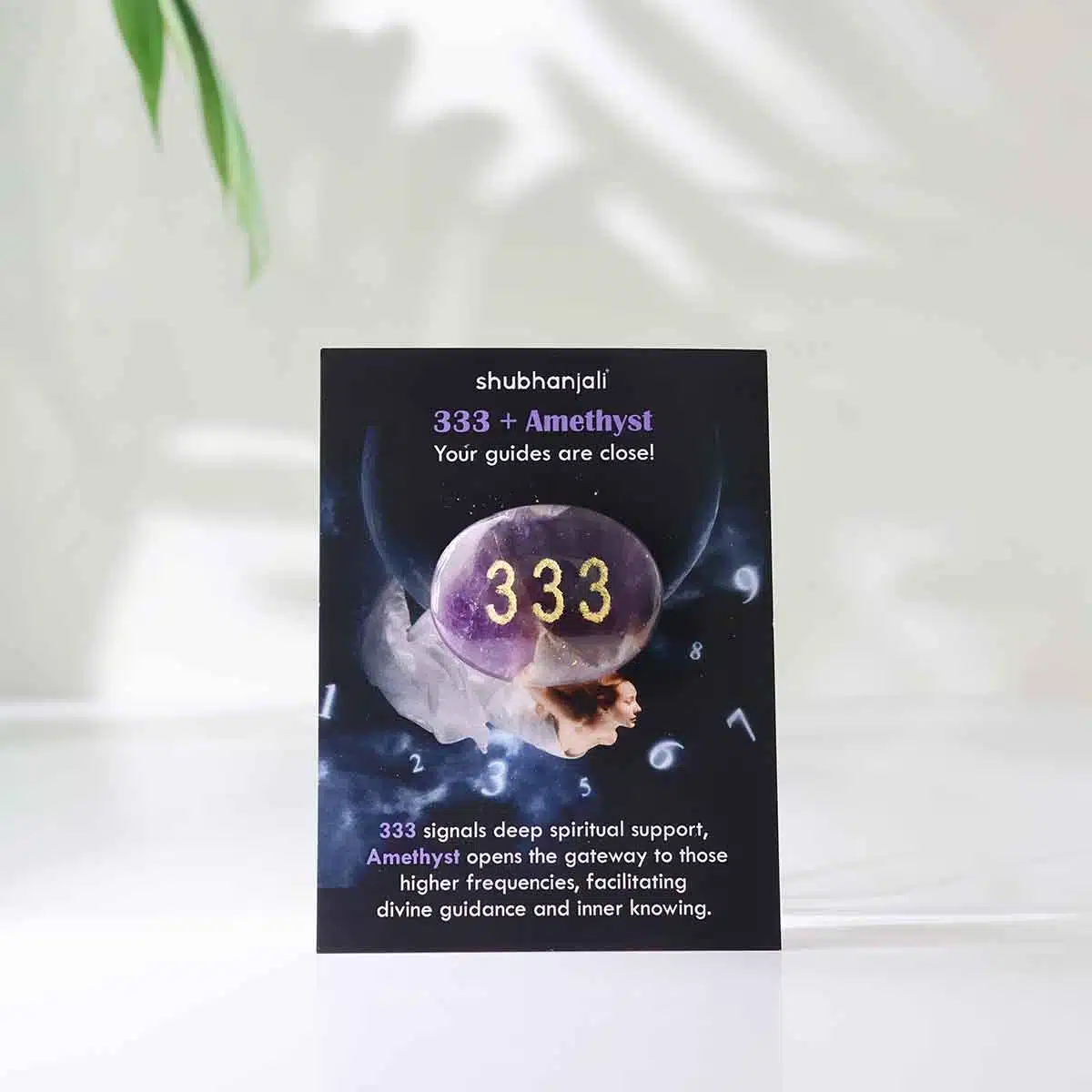 angel-numbers-switch-oval (31)