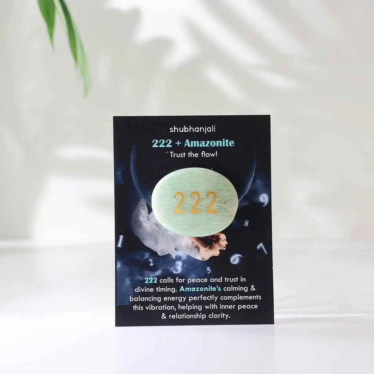 angel-numbers-switch-oval (32)