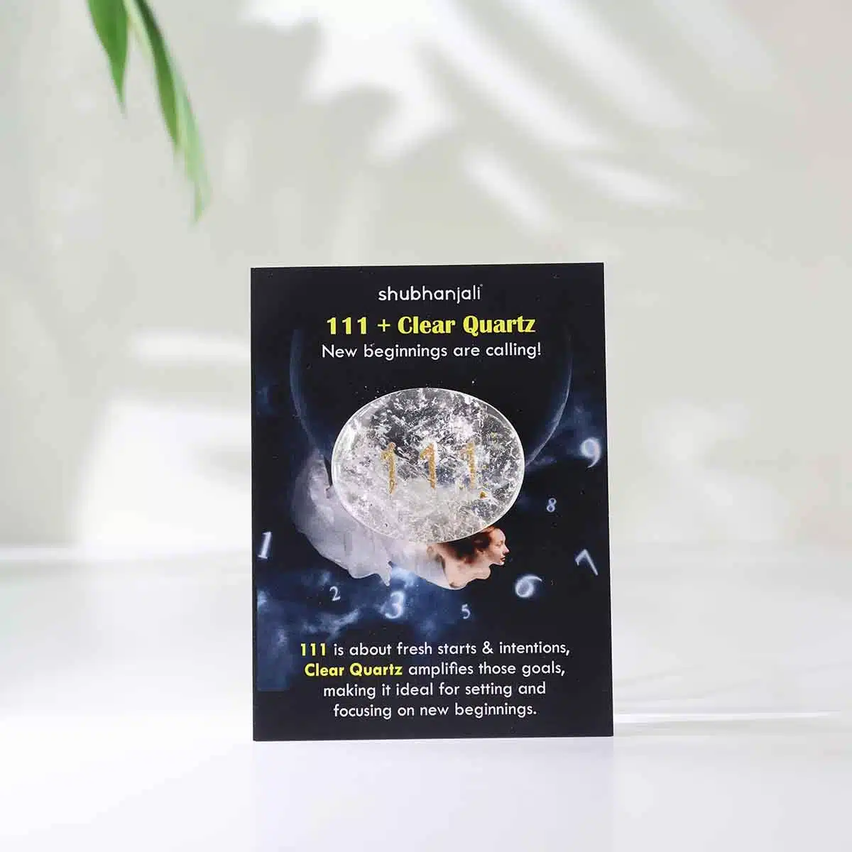 angel-numbers-switch-oval (33)