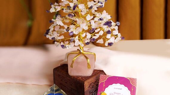 Aura Shield and Serenity Set