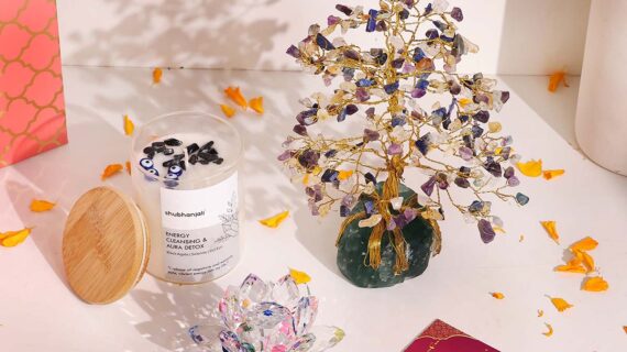 Clarity and Protection Trio Combo Set